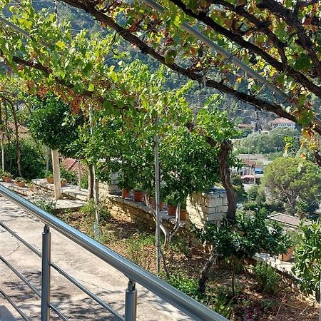 Green Forest Berat Zewnętrze zdjęcie