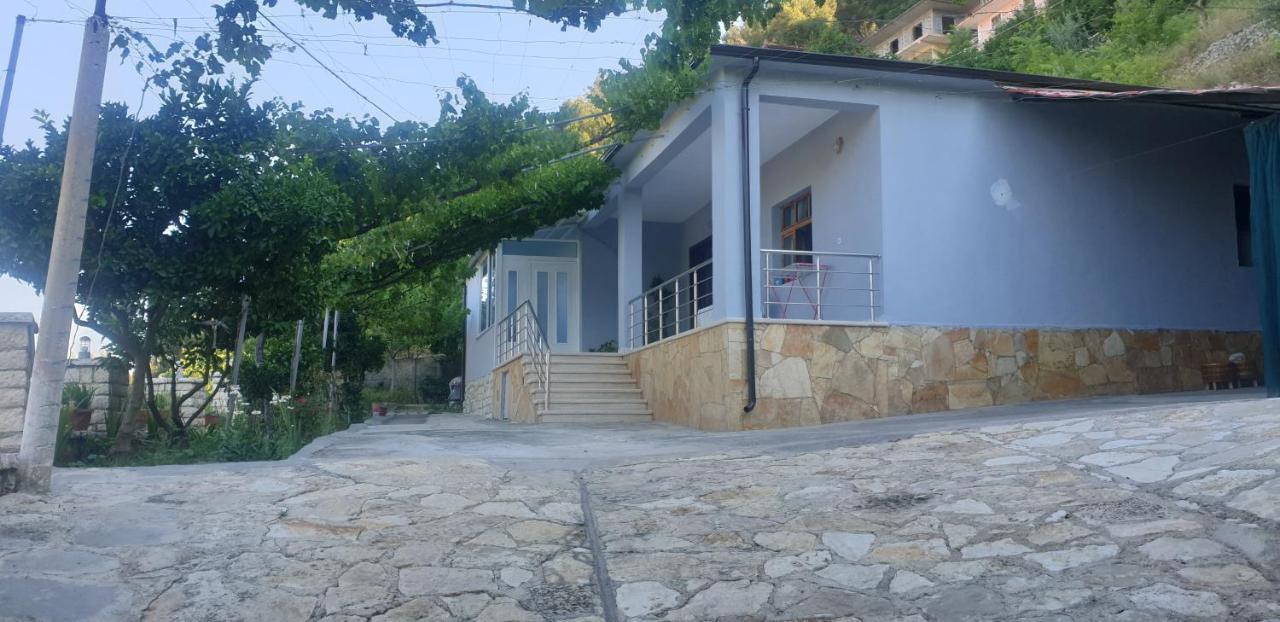 Green Forest Berat Zewnętrze zdjęcie