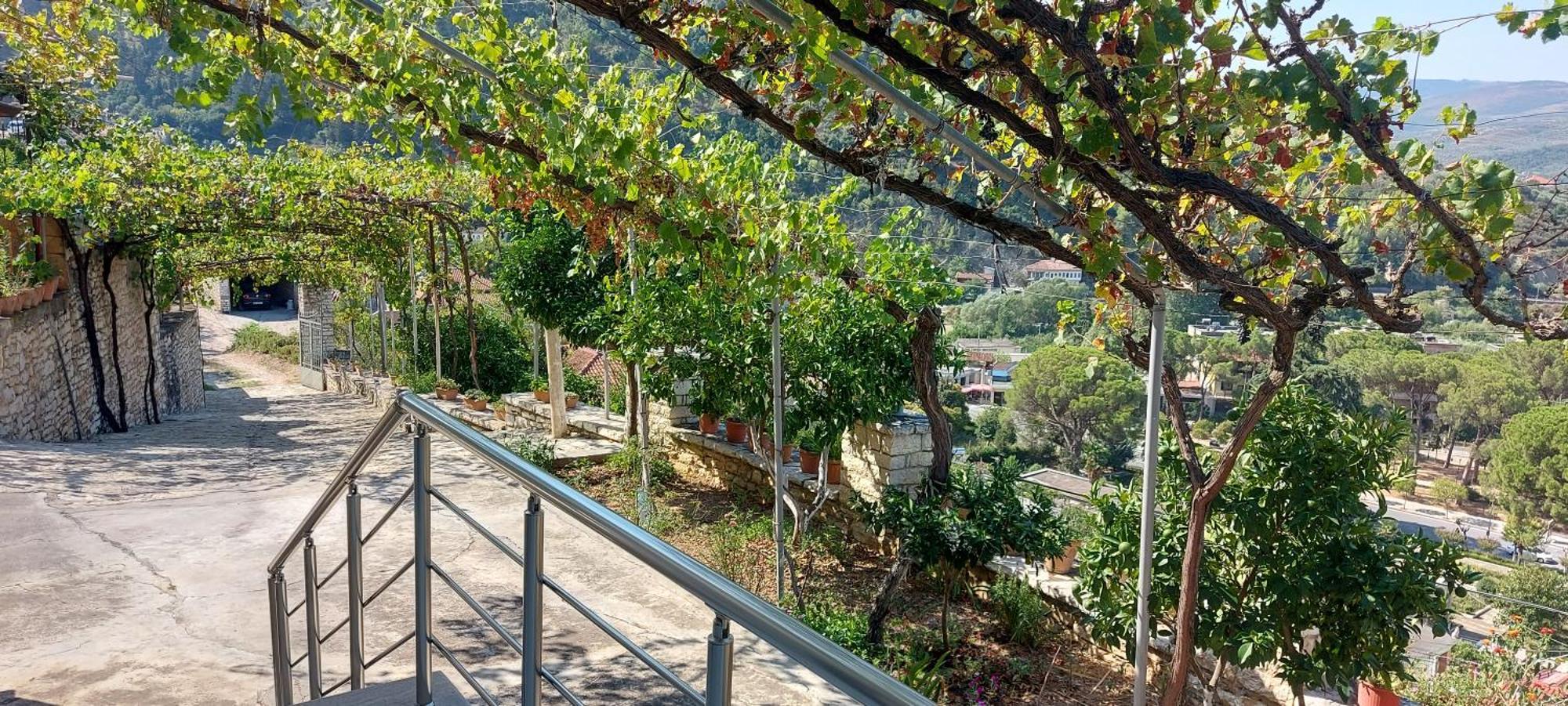 Green Forest Berat Zewnętrze zdjęcie